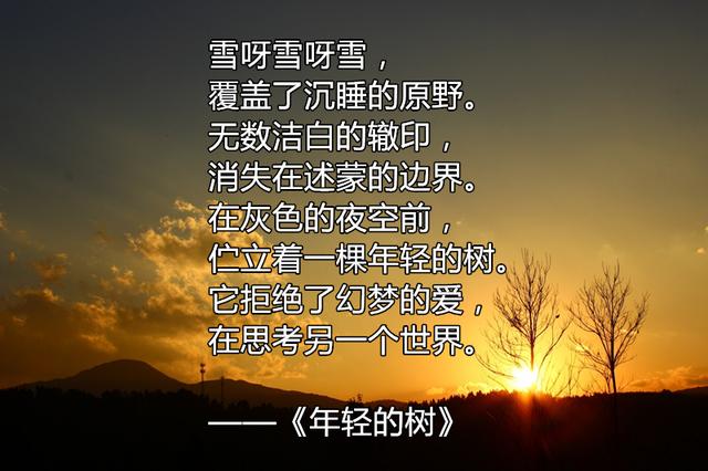 顾城最美的诗：怀念这位生于秋天，死于秋天的天才诗人