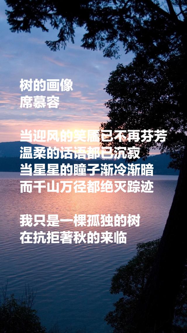 席慕容最美的八首诗，句句美到心碎，触动心扉，适合一生珍藏