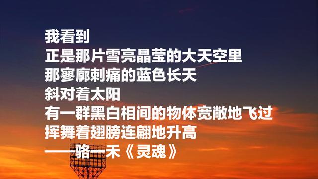 北大三剑客之一，纪念诗人骆一禾，他的这八首诗写得太好了