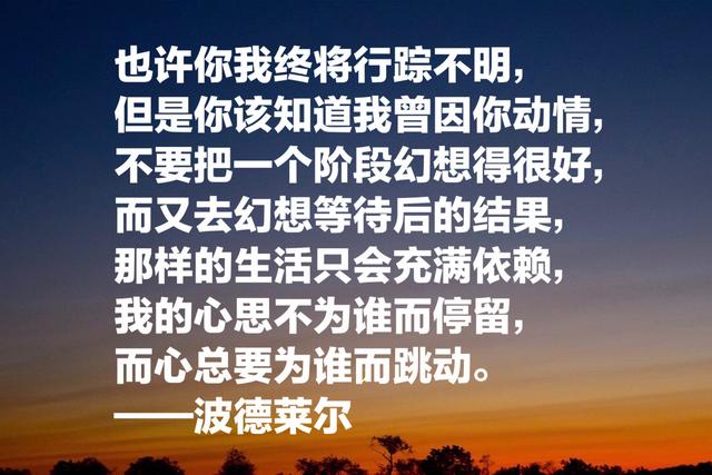 法国大诗人波德莱尔，这惊艳阴郁的诗，感受他的忧郁和孤独