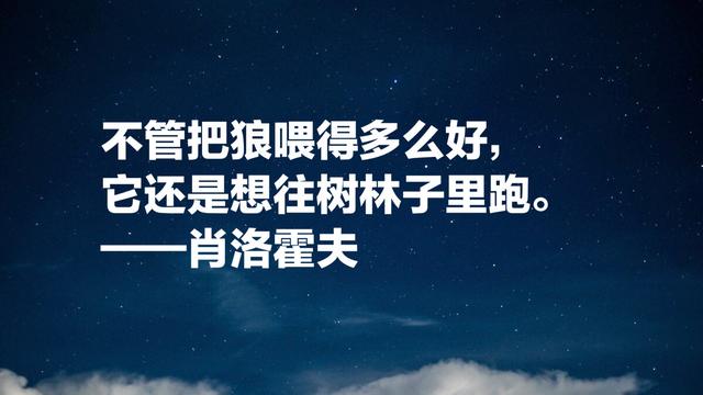 肖洛霍夫的《静静的顿河》，影响大批中国作家，这八句话太深刻了