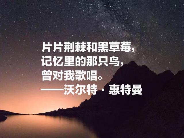 他写出伟大史诗《草叶集》，惠特曼笔下这话，文字太深邃了