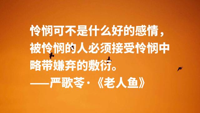 严歌苓作品刻骨铭心的句子，读完让人感动，感叹文字魅力真大