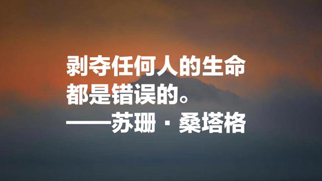 她被誉为美国公众的良心，苏珊·桑塔格名言，句句个性感十足