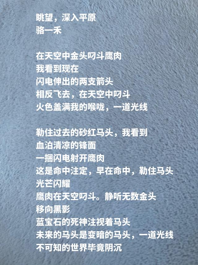 北大才子骆一禾，他这诗作，构想宏大开阔，天地自然震撼心灵