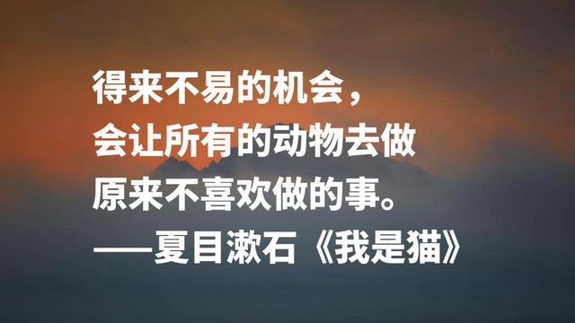 日本文学巨匠夏目漱石，代表作《我是猫》摘抄，句句轻快洒脱