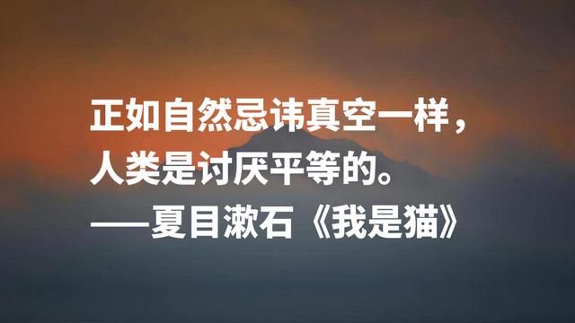 日本文学巨匠夏目漱石，代表作《我是猫》摘抄，句句轻快洒脱