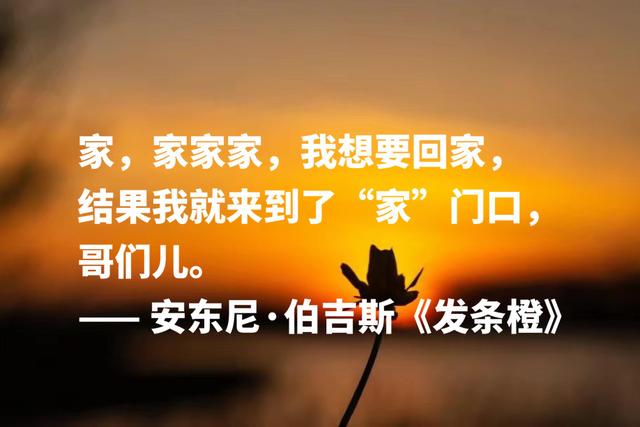 他是写小说的音乐家，《带发条的橙子》格言，句句充满艺术感