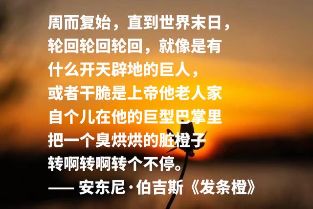 他是写小说的音乐家，《带发条的橙子》格言，句句充满艺术感