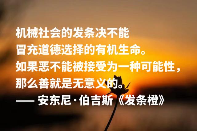 他是写小说的音乐家，《带发条的橙子》格言，句句充满艺术感