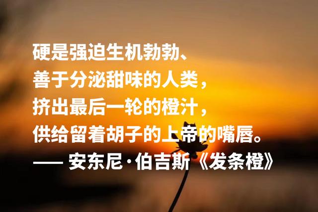 他是写小说的音乐家，《带发条的橙子》格言，句句充满艺术感