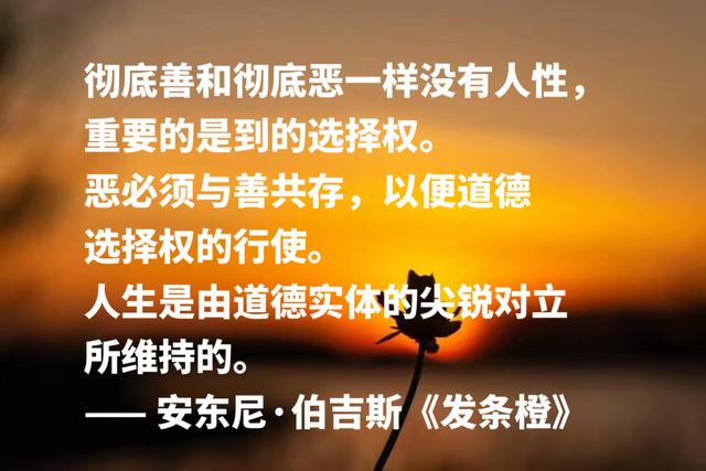 他是写小说的音乐家，《带发条的橙子》格言，句句充满艺术感