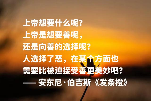 他是写小说的音乐家，《带发条的橙子》格言，句句充满艺术感