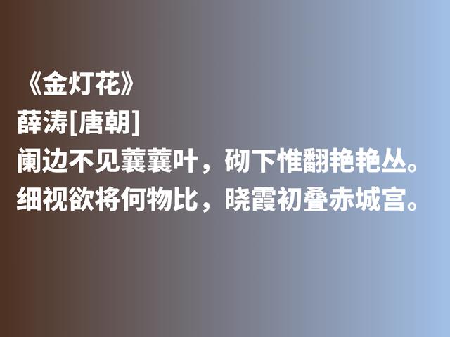 曾与元稹有一段凄美的爱情，唐朝才女薛涛，抒情与咏物诗意境绝美