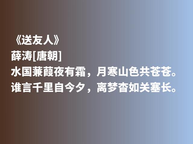 曾与元稹有一段凄美的爱情，唐朝才女薛涛，抒情与咏物诗意境绝美