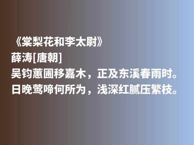 曾与元稹有一段凄美的爱情，唐朝才女薛涛，抒情与咏物诗意境绝美