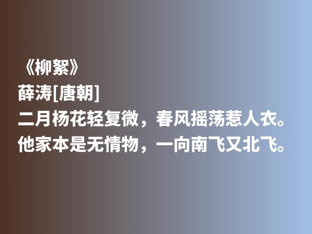 曾与元稹有一段凄美的爱情，唐朝才女薛涛，抒情与咏物诗意境绝美