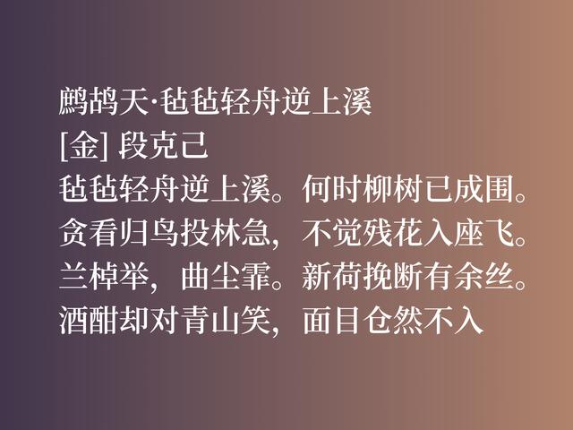 金代大文人段克己，这佳作真挚热情，别有一番风味