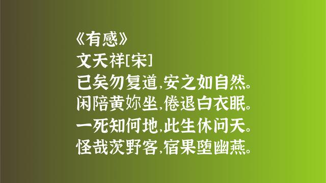 伟大的文学家和民族英雄，文天祥的诗充满傲骨之气，读懂深受感动