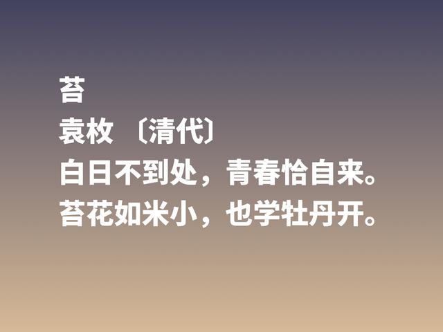 乾隆文坛三大家，袁枚最不拘一格，细品他这诗，首首充满灵性