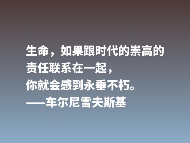 他是俄国唯物主义哲学家，这格言，彰显美学之精华，他是谁？