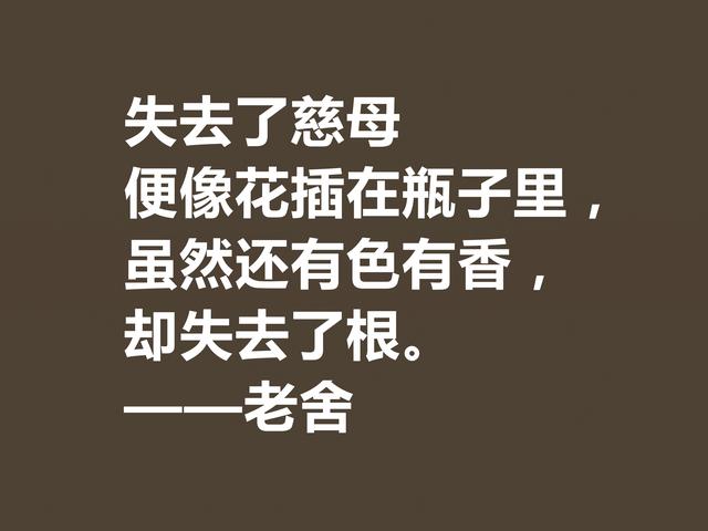 他是人民艺术家，老舍先生格言通俗易懂，暗含深厚的文化底蕴