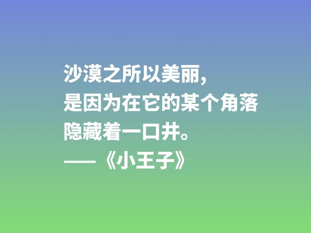 经久不衰的读物，细品小说《小王子》这格言，蕴含着博大的爱