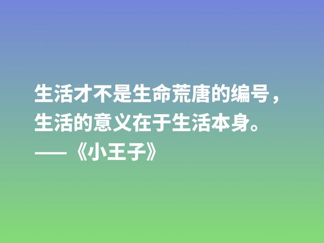 经久不衰的读物，细品小说《小王子》这格言，蕴含着博大的爱