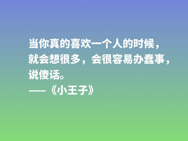 经久不衰的读物，细品小说《小王子》这格言，蕴含着博大的爱