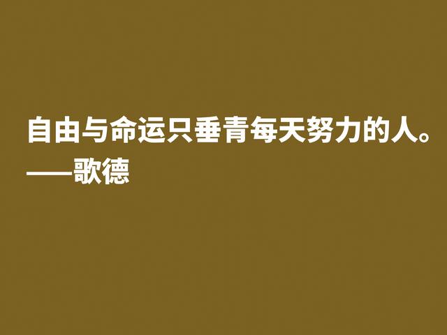 享誉世界的德国作家，深悟都德这格言，体现高人一等的人生观