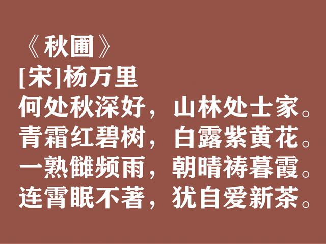 白露时节寄情，欣赏古代文人诗词，衬托出满满的游子思乡之情