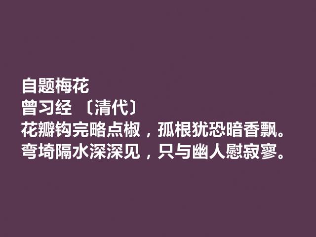 晚清名家曾习经诗，田园诗意境尤其唯美，情调闲适，值得品读