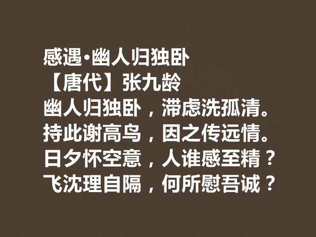 唐朝宰相诗人，张九龄诗作，体现超高的审美观，暗含深刻内涵