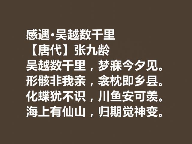 唐朝宰相诗人，张九龄诗作，体现超高的审美观，暗含深刻内涵