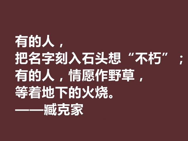 他的一生是一部我国新诗史诗，臧克家美句，透露浓厚的中国风