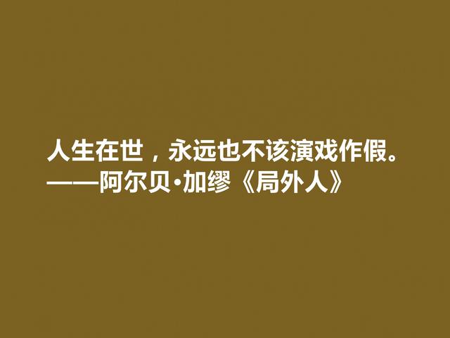 加缪最伟大的作品，《局外人》中格言，暗含深厚的人生哲学观