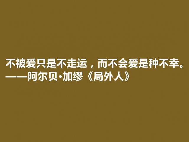 加缪最伟大的作品，《局外人》中格言，暗含深厚的人生哲学观