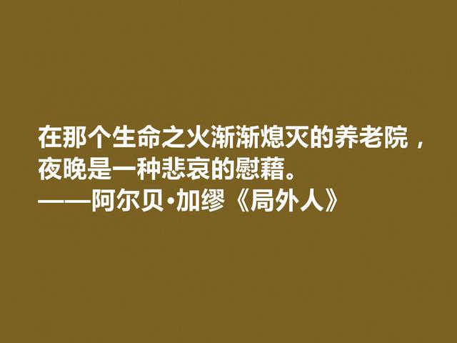 加缪最伟大的作品，《局外人》中格言，暗含深厚的人生哲学观