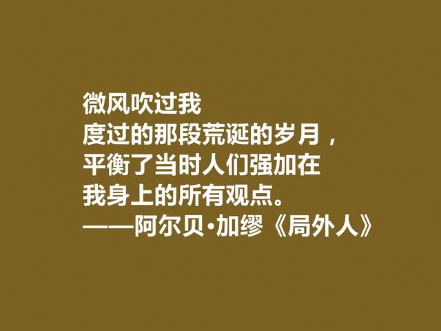 加缪最伟大的作品，《局外人》中格言，暗含深厚的人生哲学观