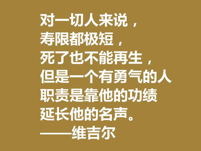 罗马大诗人维吉尔，他这诗句，诗风独特，哲理性强，值得深究