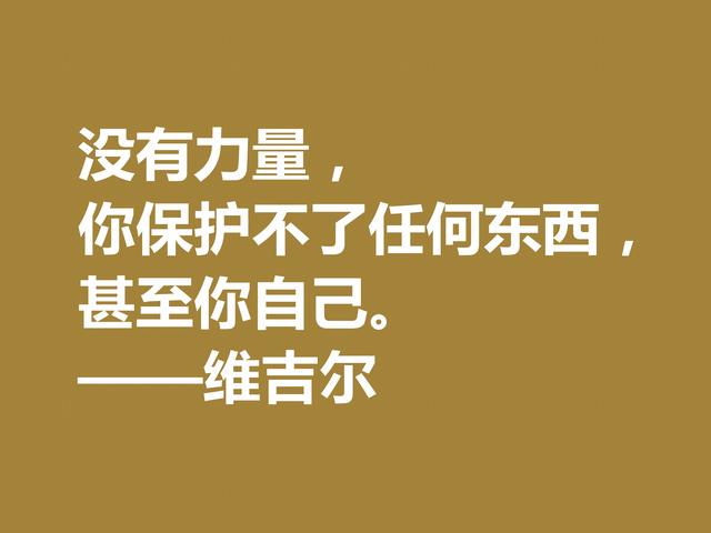 罗马大诗人维吉尔，他这诗句，诗风独特，哲理性强，值得深究