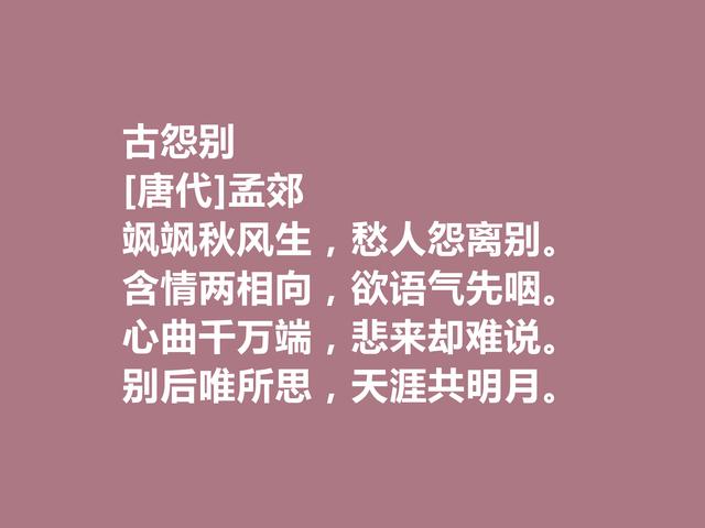 他是韩愈的好友，尤其擅长五言诗，唐朝诗人孟郊诗，个性十足