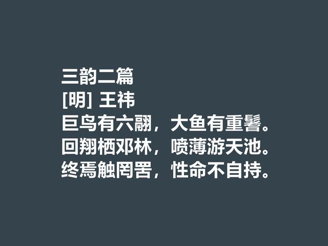 明朝初期文学家，王袆这诗作，道理深刻，暗含诗人远大的理想