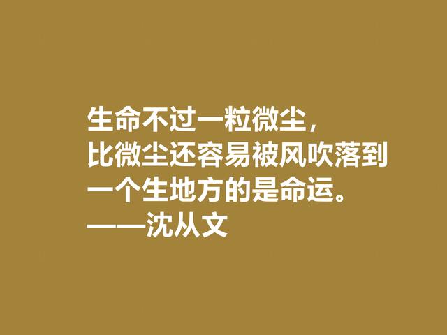 深爱沈从文的小说，细品他格言，文化底蕴深厚，凸显其人生观