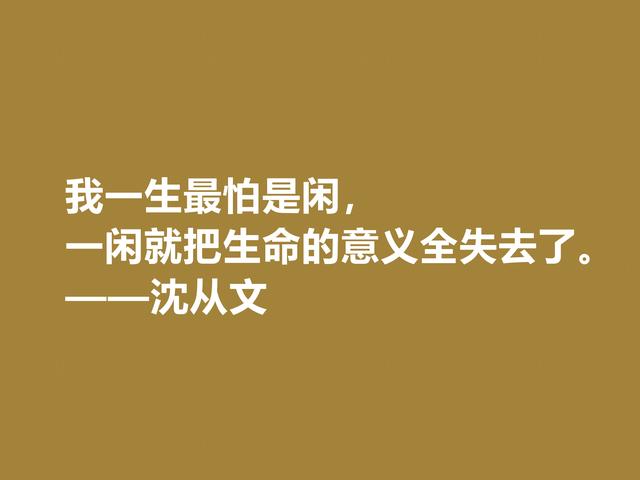 深爱沈从文的小说，细品他格言，文化底蕴深厚，凸显其人生观