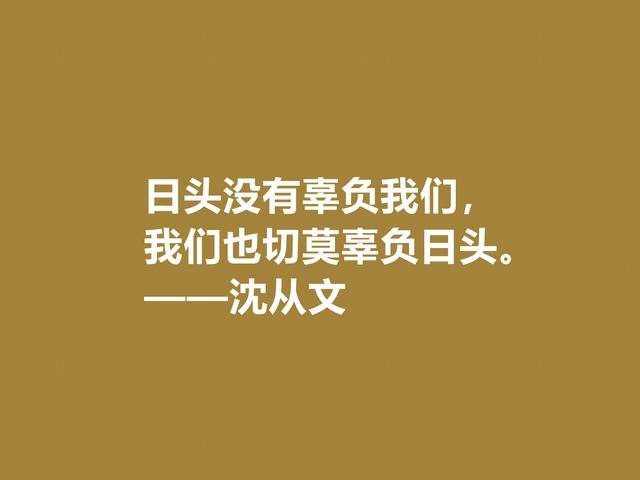 深爱沈从文的小说，细品他格言，文化底蕴深厚，凸显其人生观