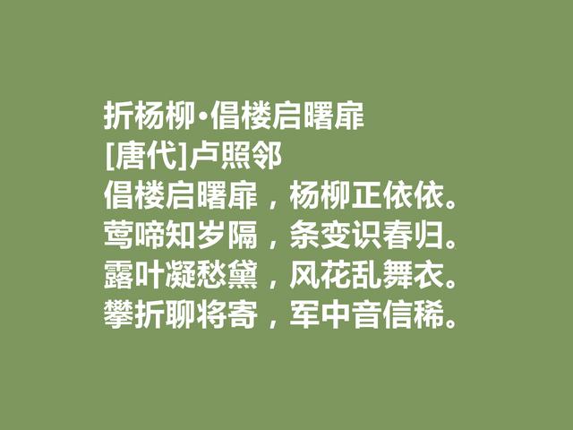 他是初唐诗人，十余年在病榻上写诗，这诗体现深刻的生命意义