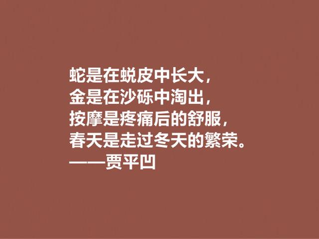 贾平凹的小说使内心波澜万丈，他这格言，哲理深厚，直击人心