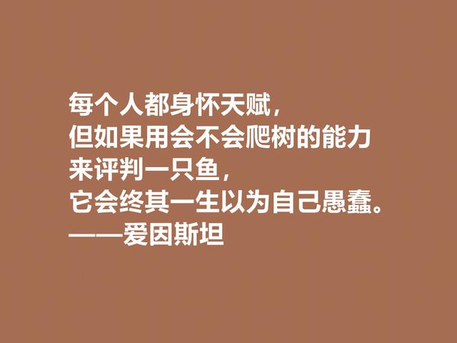 伟大的爱因斯坦与霍金，读他们的格言，充满人生哲理