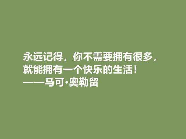 罗马帝国贤君，又是哲学家，马可·奥勒留格言，读懂净化心灵